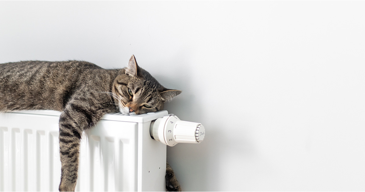 Radiator Renovation: From preparation to finish | Helios Deco