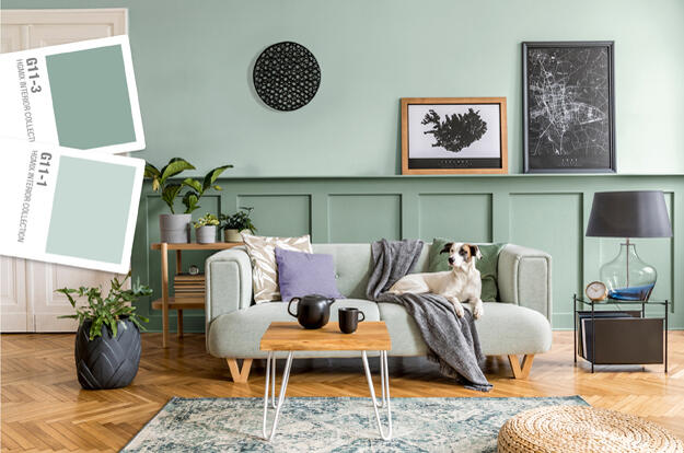 98 Sage Green 625x415 7