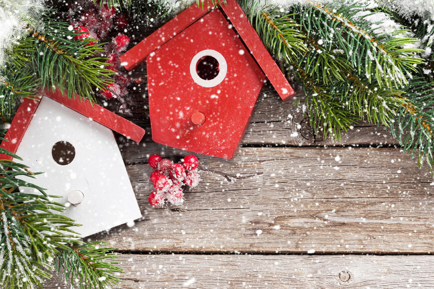 Birdhouse 1280 x 850