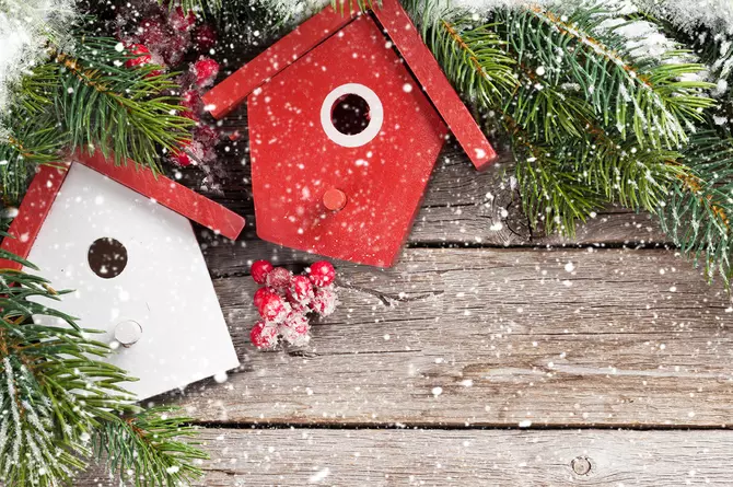 Birdhouse 1280 x 850