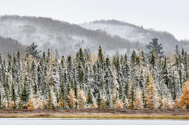 625x 415 SPEKTRA Colours of the North 3